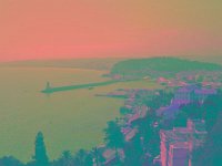 IMGP2689 edited (Medium)